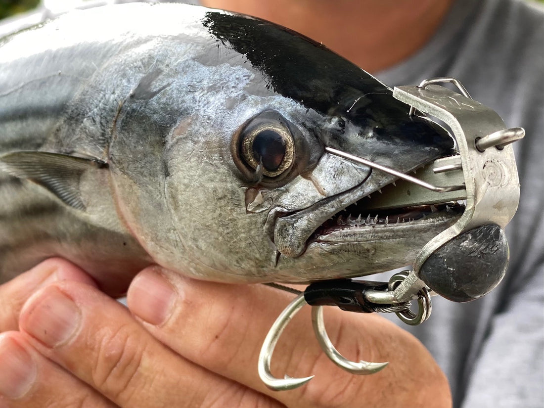 Rigging Your Zombie Fish on the water